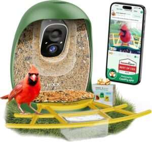 HIXX Smart Bird Feeder with Camera, Lifetime Free AI Bird Species Recognition,